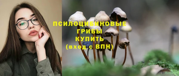 спайс Киреевск