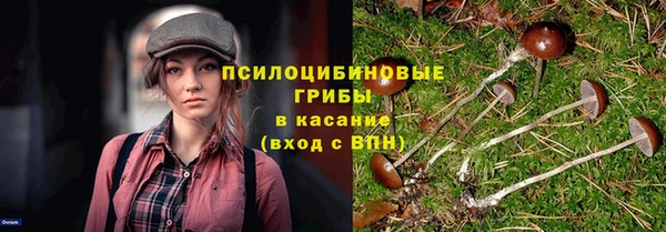ГАЛЛЮЦИНОГЕННЫЕ ГРИБЫ Киренск