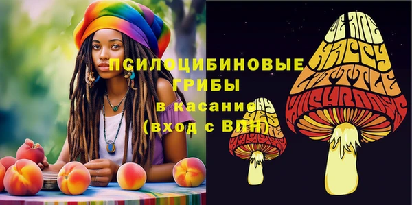 ГАЛЛЮЦИНОГЕННЫЕ ГРИБЫ Киренск