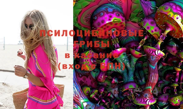 ГАЛЛЮЦИНОГЕННЫЕ ГРИБЫ Киренск