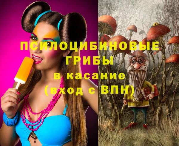 ГАЛЛЮЦИНОГЕННЫЕ ГРИБЫ Киренск
