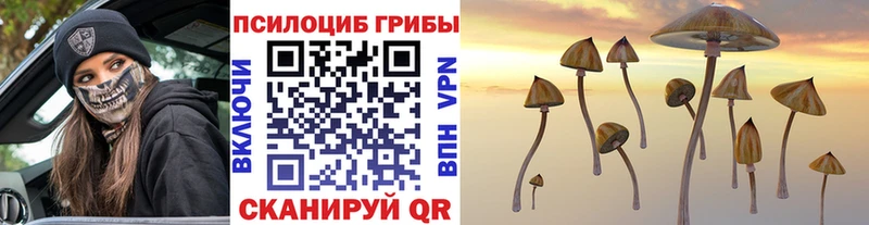 Псилоцибиновые грибы прущие грибы  Купить где  Гаврилов Посад 