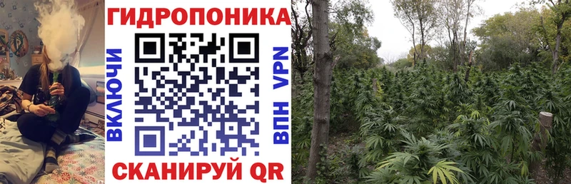 Шишки марихуана Bruce Banner  Купить где  Гаврилов Посад 